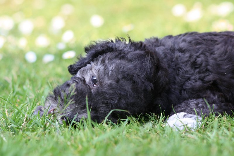 Arc-en-ciel Antares 2009-06-30 (36).JPG